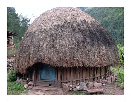 Rumah adat Papua bernama Honai.Bentuk rumah ini jauh berbeda dengan ...